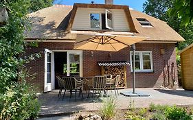 Huisje aan de Bosrand - Veluwe